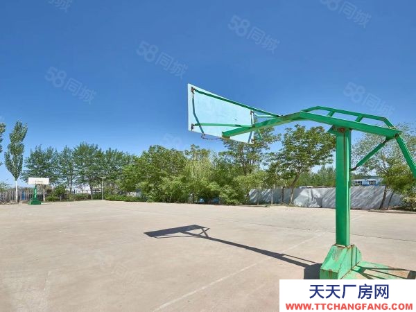 銀川市金鳳速凍食品廠房 格瑞銀春商務(wù)中心1400平米標(biāo)準(zhǔn)車間倉庫招商出租出售