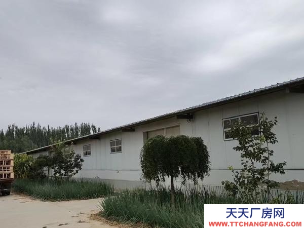 銀川市金鳳機加工廠房 租金面議，房子可分割