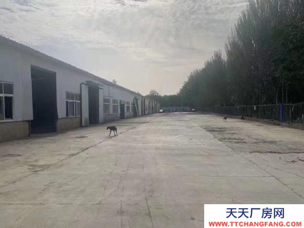 銀川市金鳳機(jī)加工廠房 可小面積租出 隨時(shí)看房