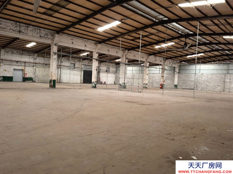 (出租) 河源紫金臨江5000平方鋼構廠房適合五金機電