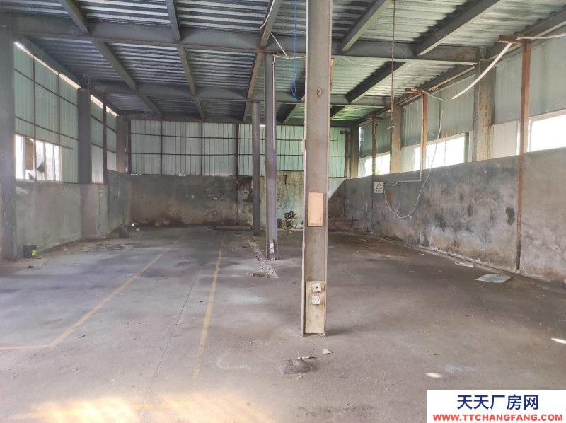 (出租) 河源紫金臨江鎮(zhèn)500平方鋼構(gòu) 不限行業(yè)