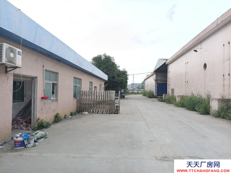 (出租) 河源紫金江東新區臨江工業園，獨門獨院可辦環評可做糖果行業