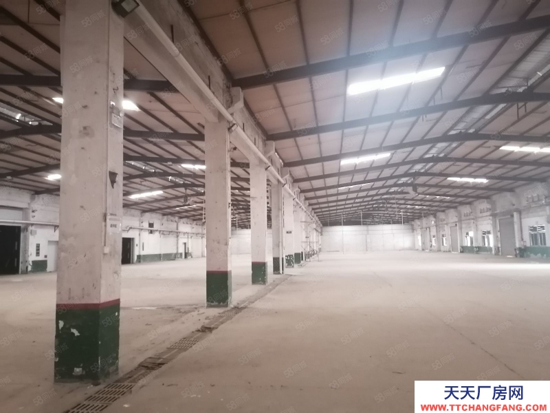 (出租) 河源紫金臨江原房東1000平方鋼構(gòu)廠房出租 低價(jià)出租 不限行業(yè)