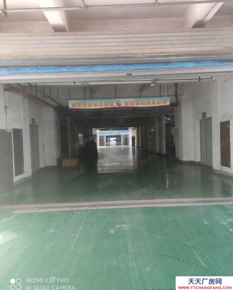 金華市磐安(出租) 房東直招，各行各業都可進，幫辦環評