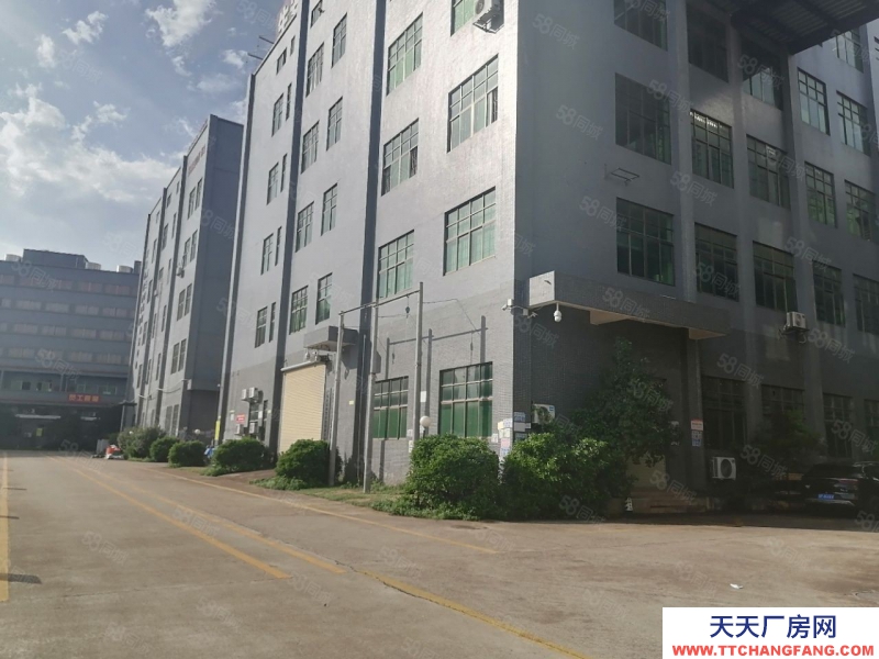 (出租) 河源紫金江東新區園區廠房 一樓1100平可分租 隨時看廠適合電子