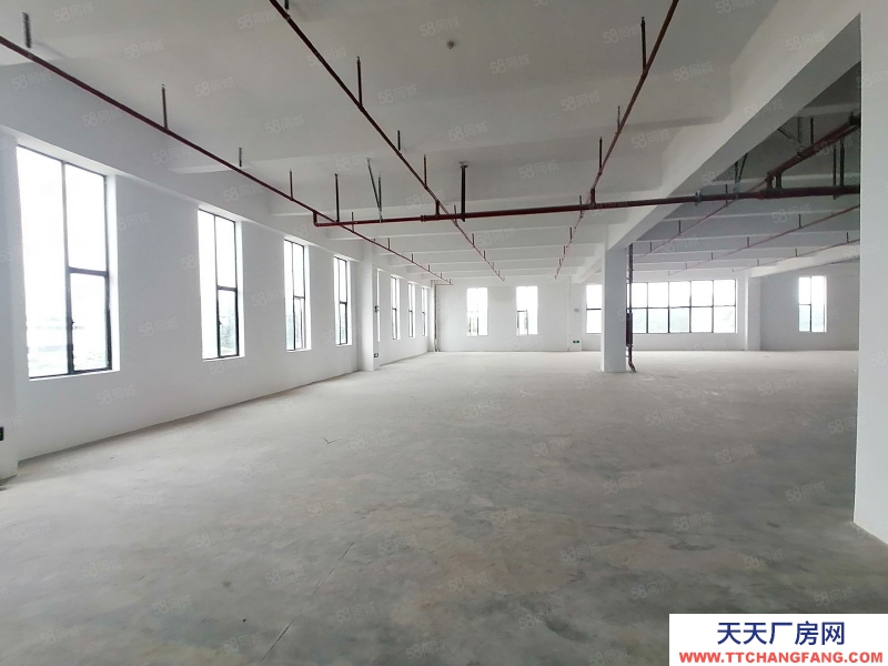 (出租) 河源紫金江東新區(qū)工業(yè)園區(qū)廠房適合設(shè)備制造