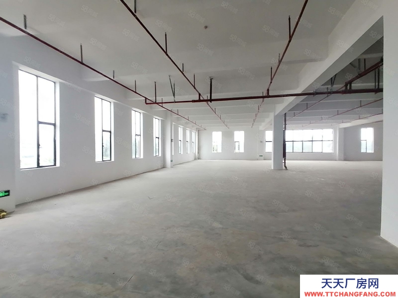 (出租) 河源紫金江東新區工業園區廠房適合設備制造