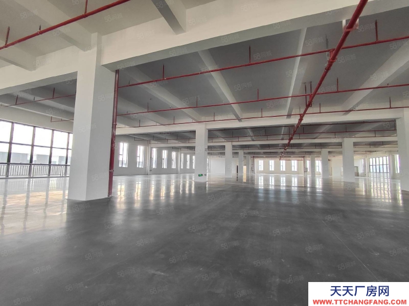 (出租) 河源紫金全新500平起分 2000平一層可做食品添加劑行業(yè)