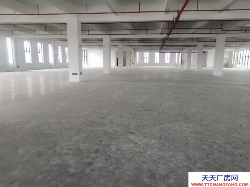 (出租) 河源紫金緯二路新出原房東30000平米花園式廠房可做罐頭行業