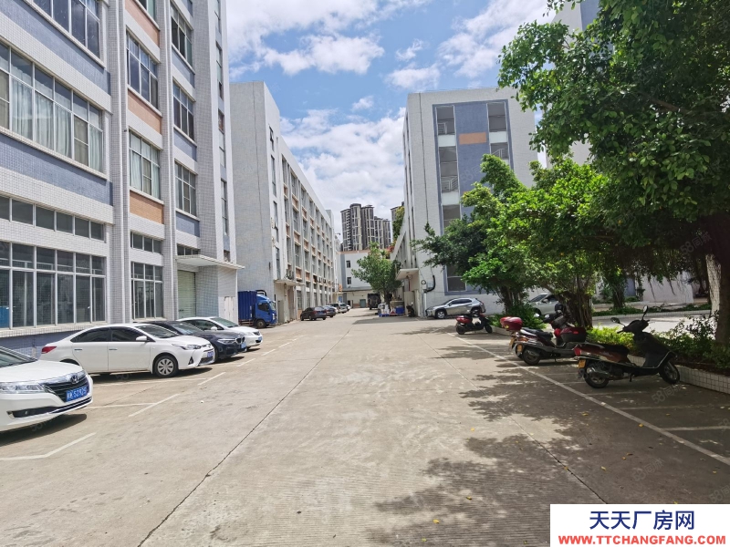 (出租) 河源連平縣三角工業(yè)區(qū)有6000平方標(biāo)準(zhǔn)廠房獨院 可做方便食品制造行業(yè)