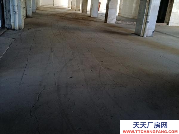 銀川市金鳳物資倉庫  庫房，平房（帶院子），辦公室出租！