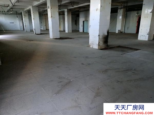 銀川市金鳳物資倉庫  庫房，平房（帶院子），辦公室出租！