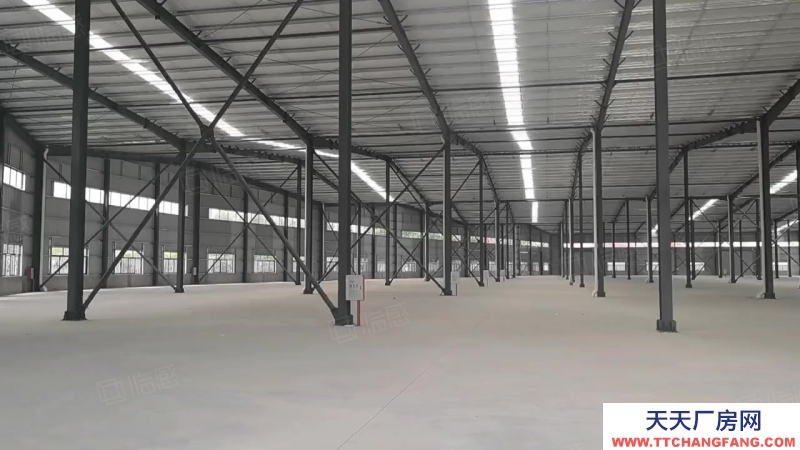 (出租) 河源連平不限行業低價廠房出租5000平方10米高獨院鋼構廠房出租