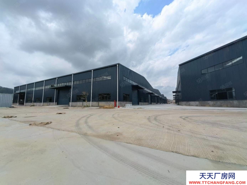 (出租) 河源連平不限行業(yè)低價(jià)廠房出租5000平方10米高獨(dú)院鋼構(gòu)廠房出租