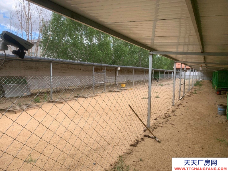 張家口 張北縣  (出租) 有房屋23間，水電方便，可搞養殖也可開敬老院