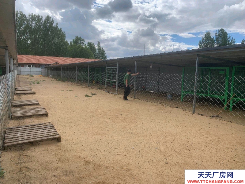 張家口 張北縣  (出租) 有房屋23間，水電方便，可搞養殖也可開敬老院