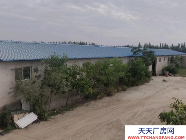 銀川市興慶機加工廠房 掌政鎮(zhèn)。廠房出租，水電齊全，帶住房，隨時可看房