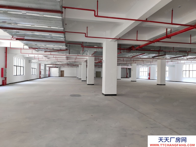 (出租)河源東源廠房倉庫出租2000平500平起分租不限行業好招工適合五金電子