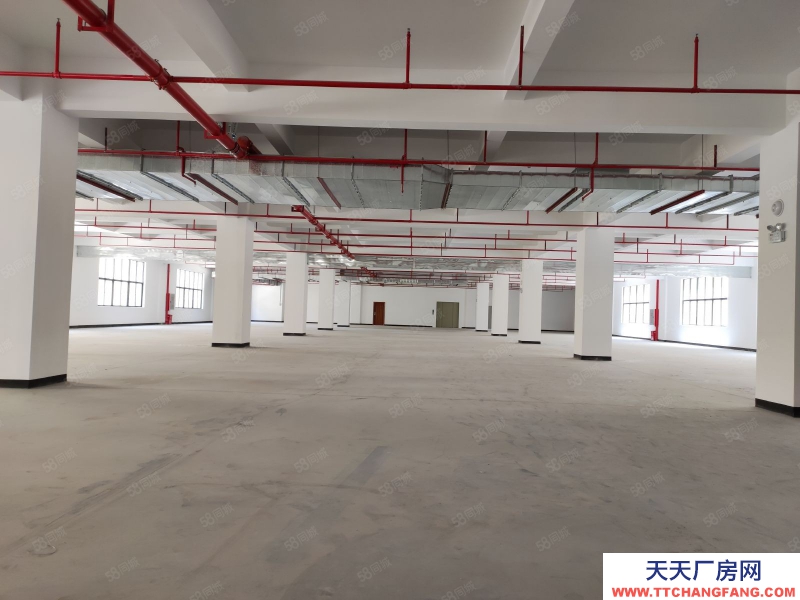 (出租)河源東源廠房倉庫出租2000平500平起分租不限行業好招工適合五金電子