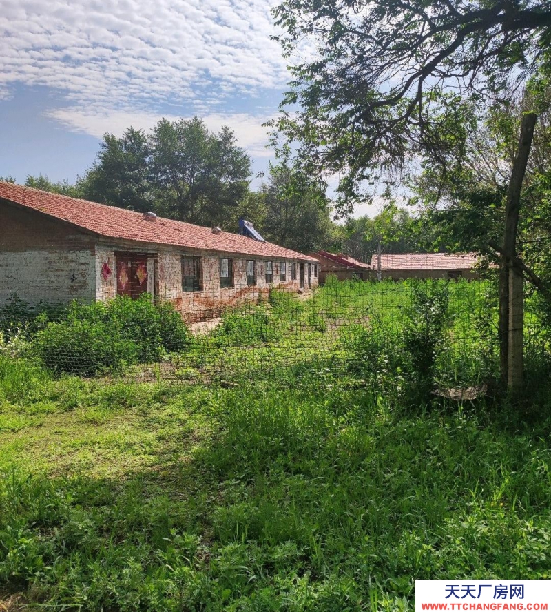 張家口 沽源 (出租) 大型養殖場，手續齊全！