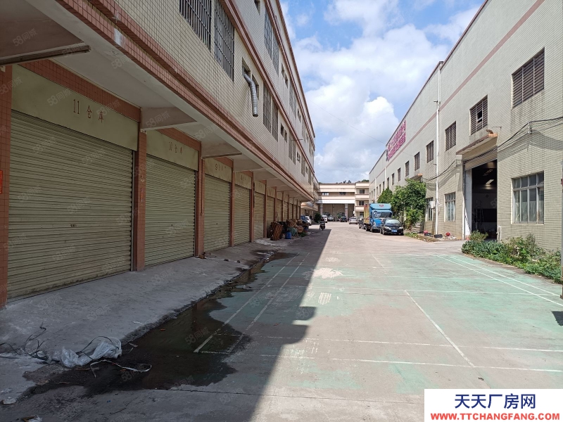 (出租) 河源東源縣仙塘鎮(zhèn)主干道旁,層高12米鋼構(gòu)廠房出租,適合家具建材