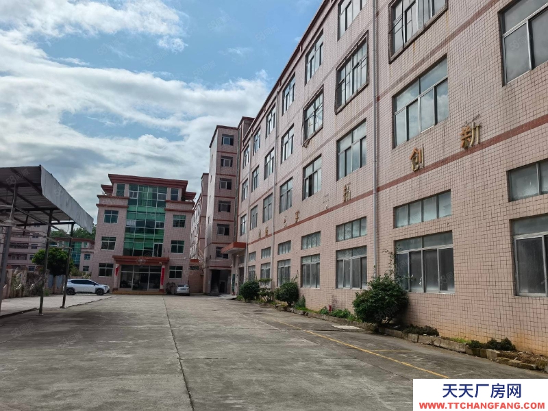 (出租)河源東源5000平方獨院廠房 500平方起分租 不限行適合五金加工