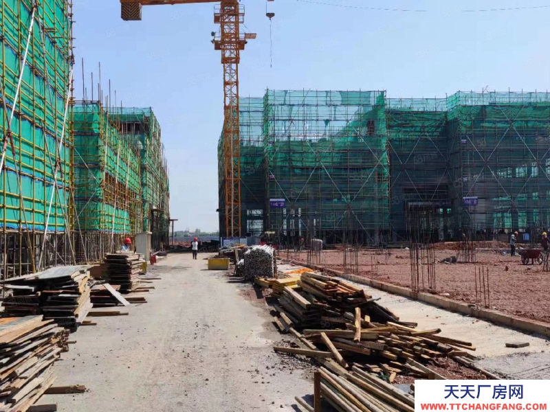 金華市磐安(出售) 兩證齊全,50年產(chǎn)權(quán),標(biāo)準(zhǔn)廠房,獨(dú)棟出售 智能家具