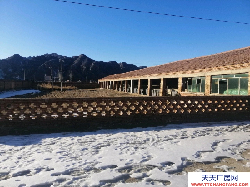 張家口 赤城(出租) 2022牛場出租，養殖廠