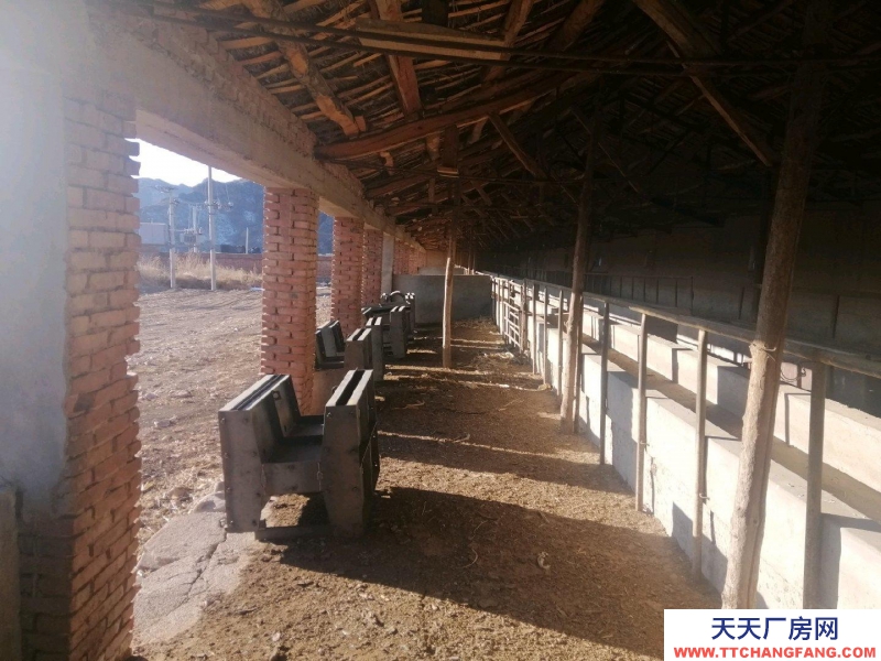 張家口 赤城(出租) 2022牛場出租，養殖廠
