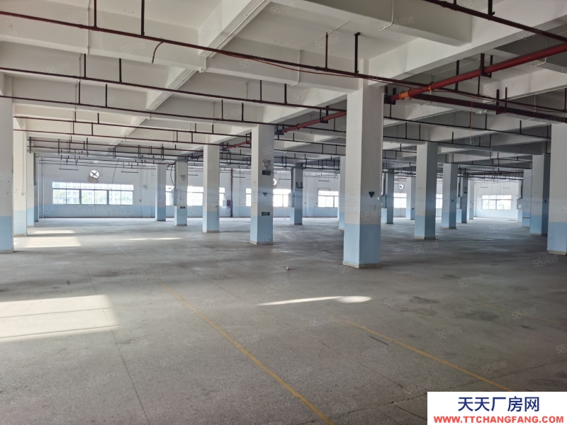 (出租) 河源東源縣徐洞工業區原房東標準廠房4000獨棟廠房出租可分租適合有污染行業