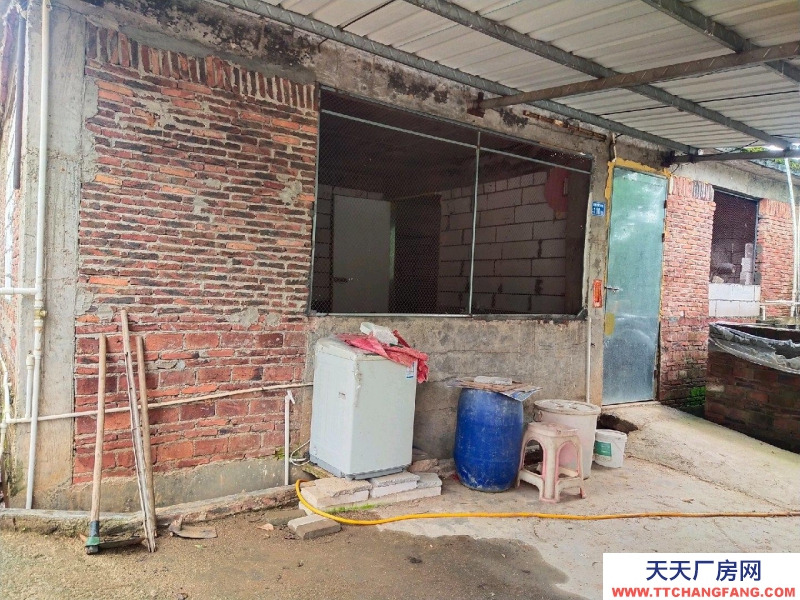(出租) 河源源城倉(cāng)庫(kù)離村道300米,附三房一廳住房,可做加工廠,養(yǎng)殖場(chǎng)