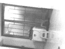 (出租) 包頭出租羊山窯溫室大棚院，