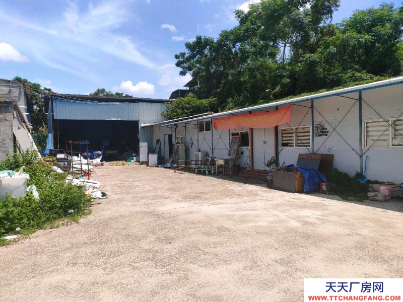 (出租) 河源東源可做廠房或倉庫，居住辦公均可物流倉庫