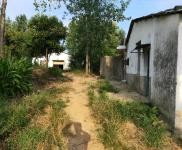 (出租) 信陽光山養殖場(可養豬，養羊)