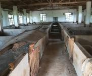 (出租) 信陽光山養殖場(可養豬，養羊)