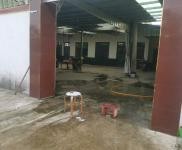 (出租) 信陽光山可辦公，農家樂廠房，車間，倉庫