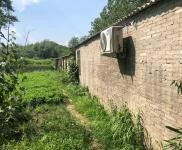 (出租) 信陽新縣可用于養(yǎng)殖,加工廠,農(nóng)家莊園