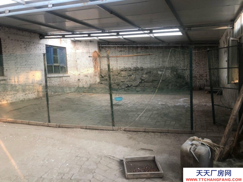 (出租) 包頭糧倉 110國道旁大院，可倉儲