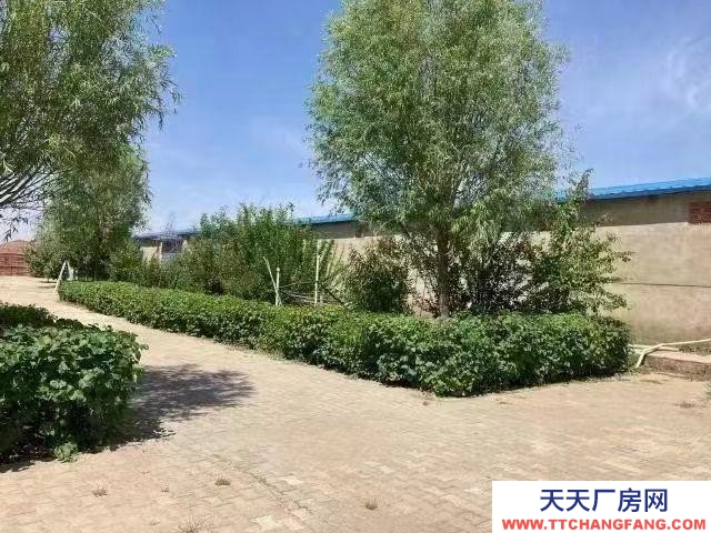 (出租) 包頭魔芋廠小白河廠房大院出租出售風(fēng)景秀麗環(huán)境優(yōu)雅空氣清新