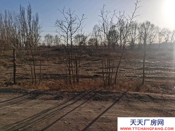 銀川市西夏機加工廠房 西夏區平吉堡13隊廠房出售