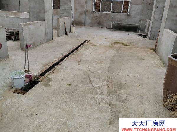 龍沙急急急急，低價出租，可當養殖和倉庫，非誠勿擾