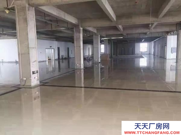 建華簡裝寫字樓、醫藥廠房、倉庫出租