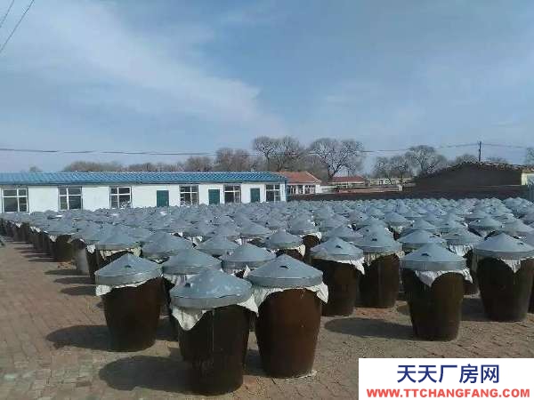 建華高頭村 土地 3000平米泡菜廠房