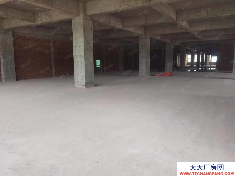 金華市蘭溪(出售) 全新廠房出售距離義烏近，1000平起首付2成帶食堂宿舍