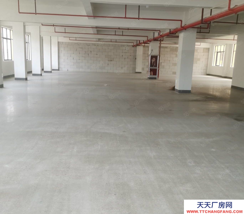 金華市東陽(出租) 山口工業區樓上260平300平適合生產加工電商服裝等馬上好用