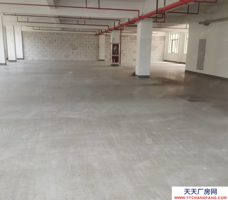 金華市東陽(出租) 山口工業區樓上260平300平適合生產加工電商服裝等馬上好用