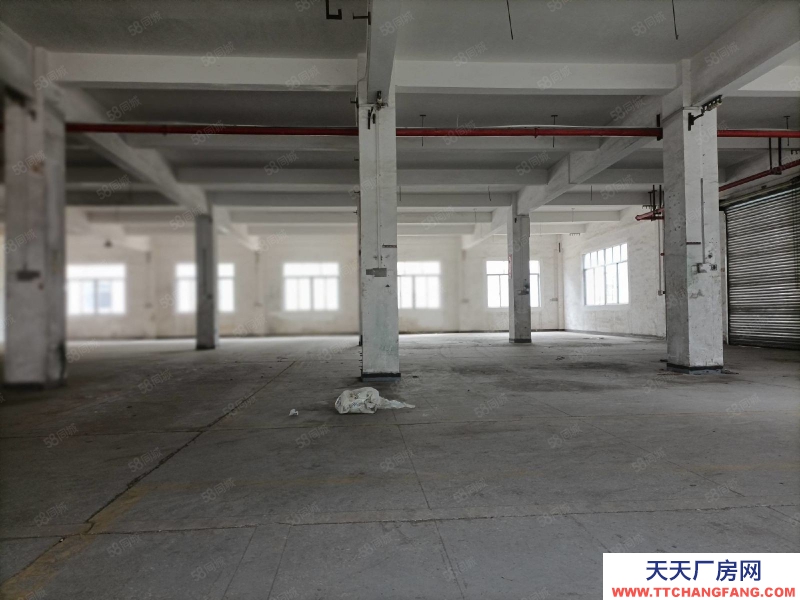 (出租) 陽江江城金郊小學附近整棟房1500平方出租，適于電商或制衣