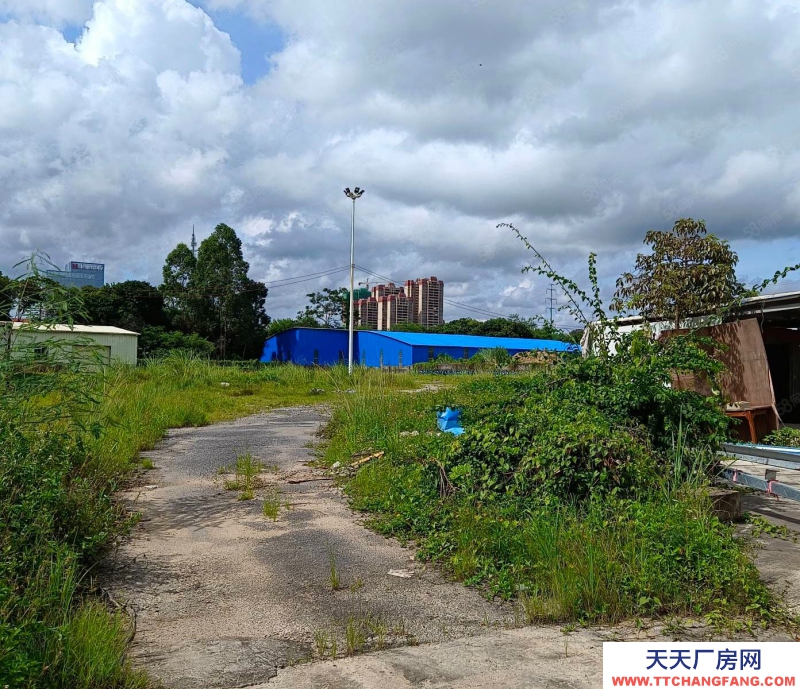 (出租) 陽江江城市區(qū)汽車總站對面土地約7000方適合做堆場,金屬回收站