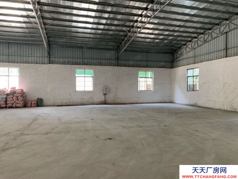 (出租) 陽江江城2000平方麻演一層鋼構廠房出租適合五金加工