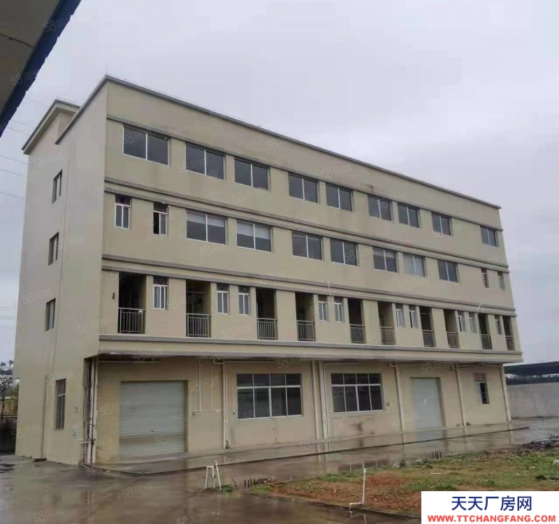 (出租) 陽江江城廠房高架橋附近可以獨立廠房適合預制菜